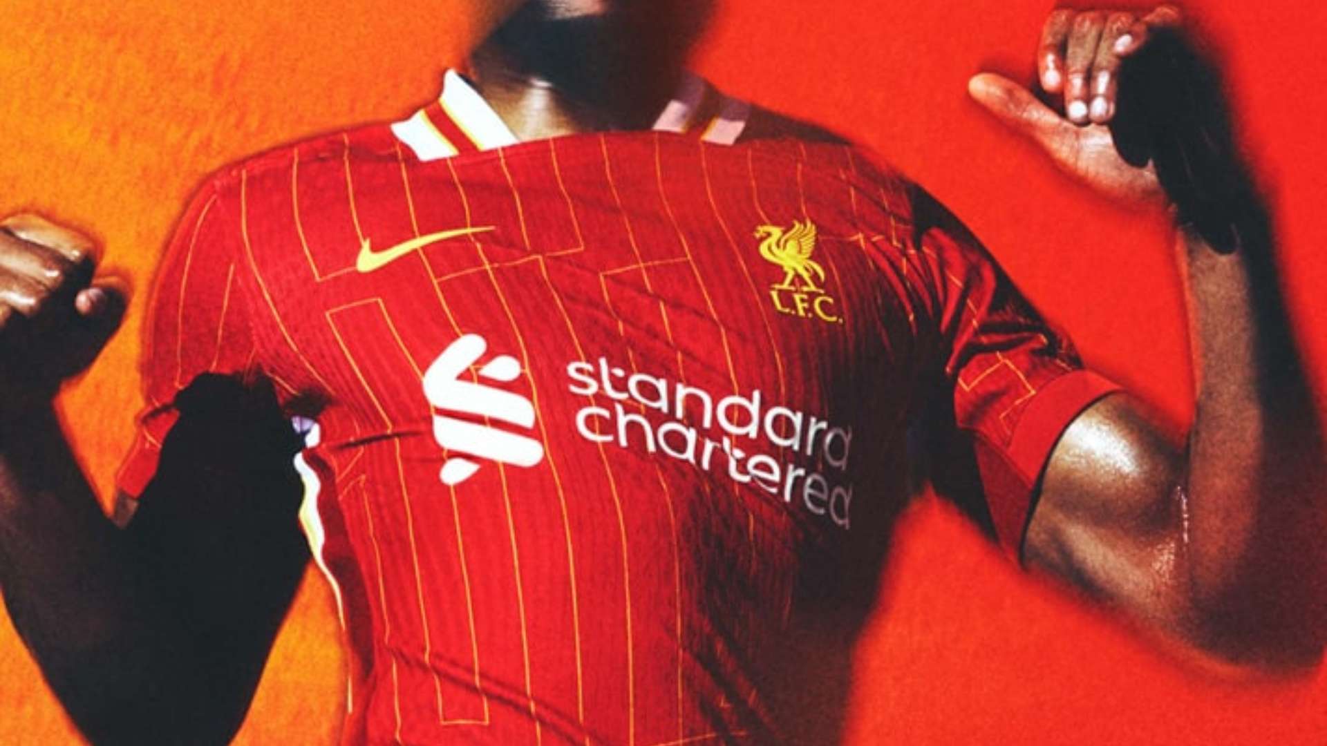 赛季表现 赛季表现